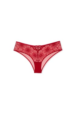 Cheeky Brief with Embroidery;${refinementColor}