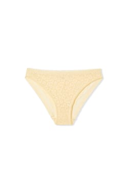 Cotton and Lace Brief;${refinementColor}