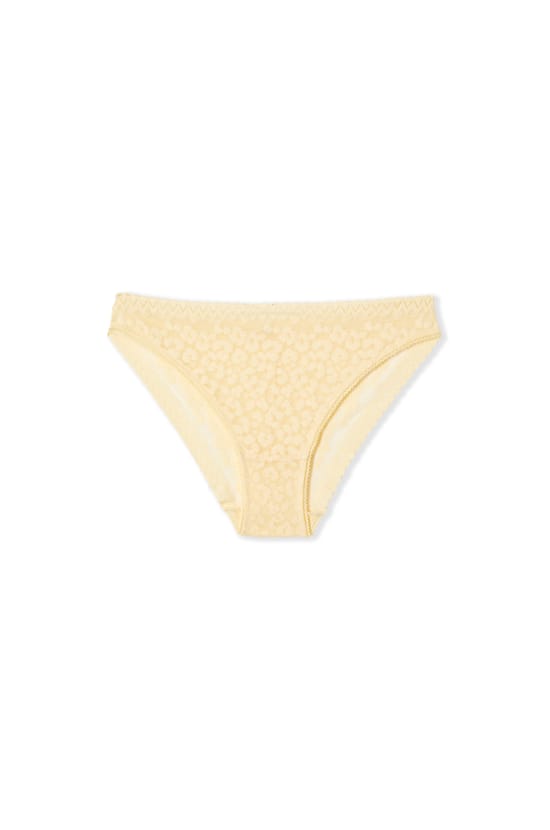 Cotton and Lace Brief;${refinementColor}