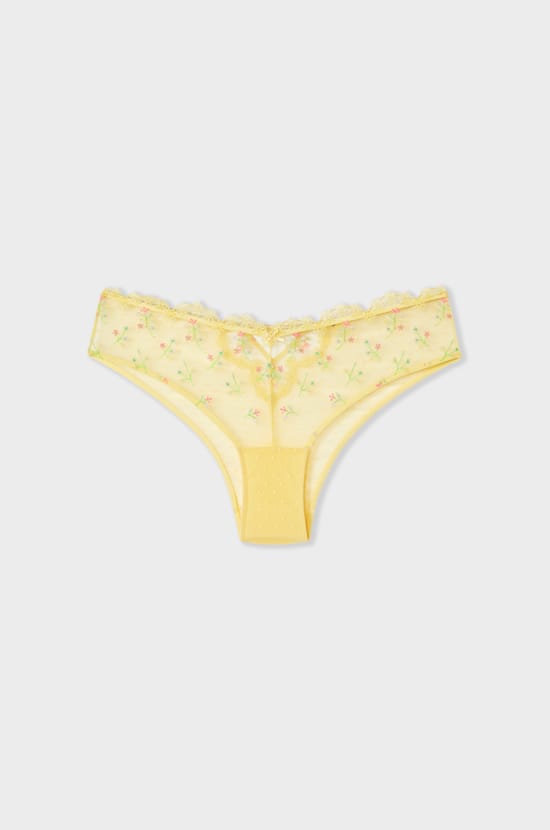 Embroidered Detail Hipster;${refinementColor}