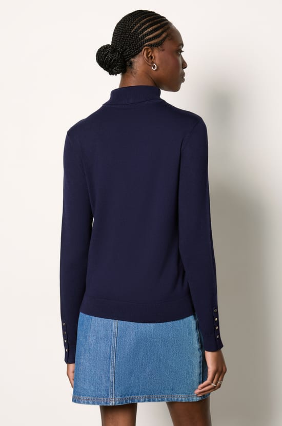 Pull col roulé;${refinementColor}