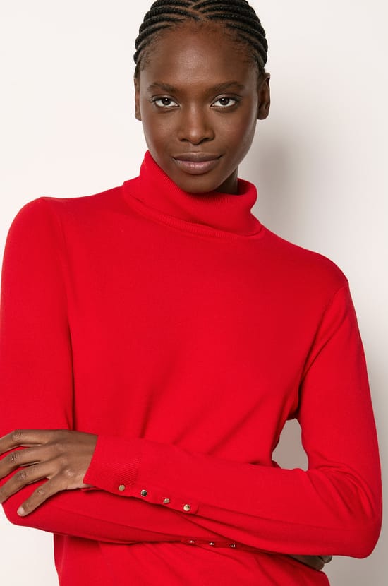 Pull col roulé;${refinementColor}