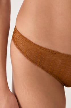 Lace Brief;${refinementColor}