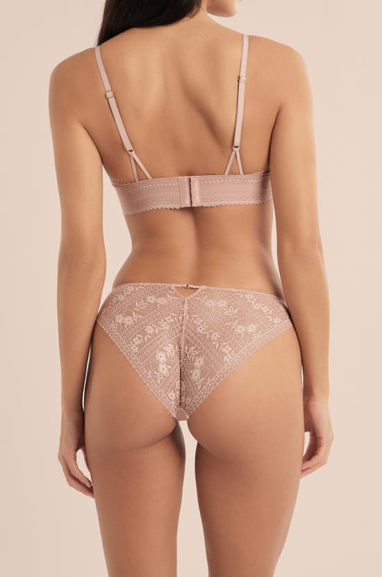 Lace and Microfibre Briefs;${refinementColor}