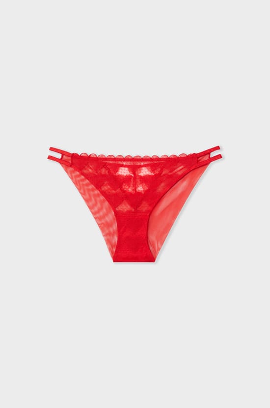 Heart Motif Lace Briefs;${refinementColor}