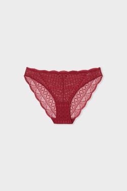 Lace Brief;${refinementColor}