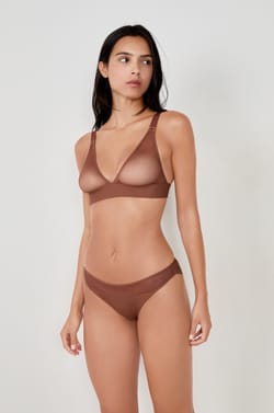 Mesh brief;${refinementColor}