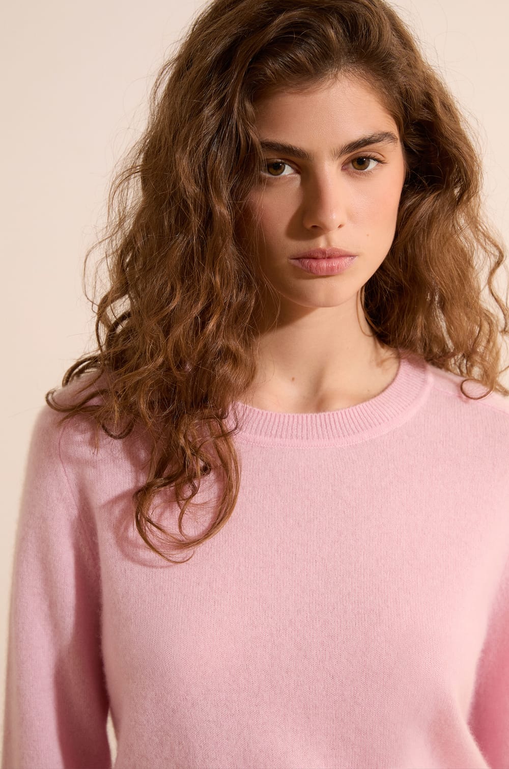 Pull col rond 100% cachemire;${refinementColor}