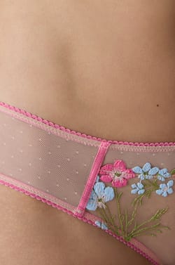 Panty tipo hipster bordado;${refinementColor}