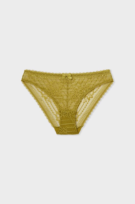 Lace Brief;${refinementColor}