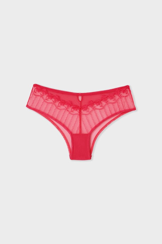 Embroidered Tulle Hipster;${refinementColor}