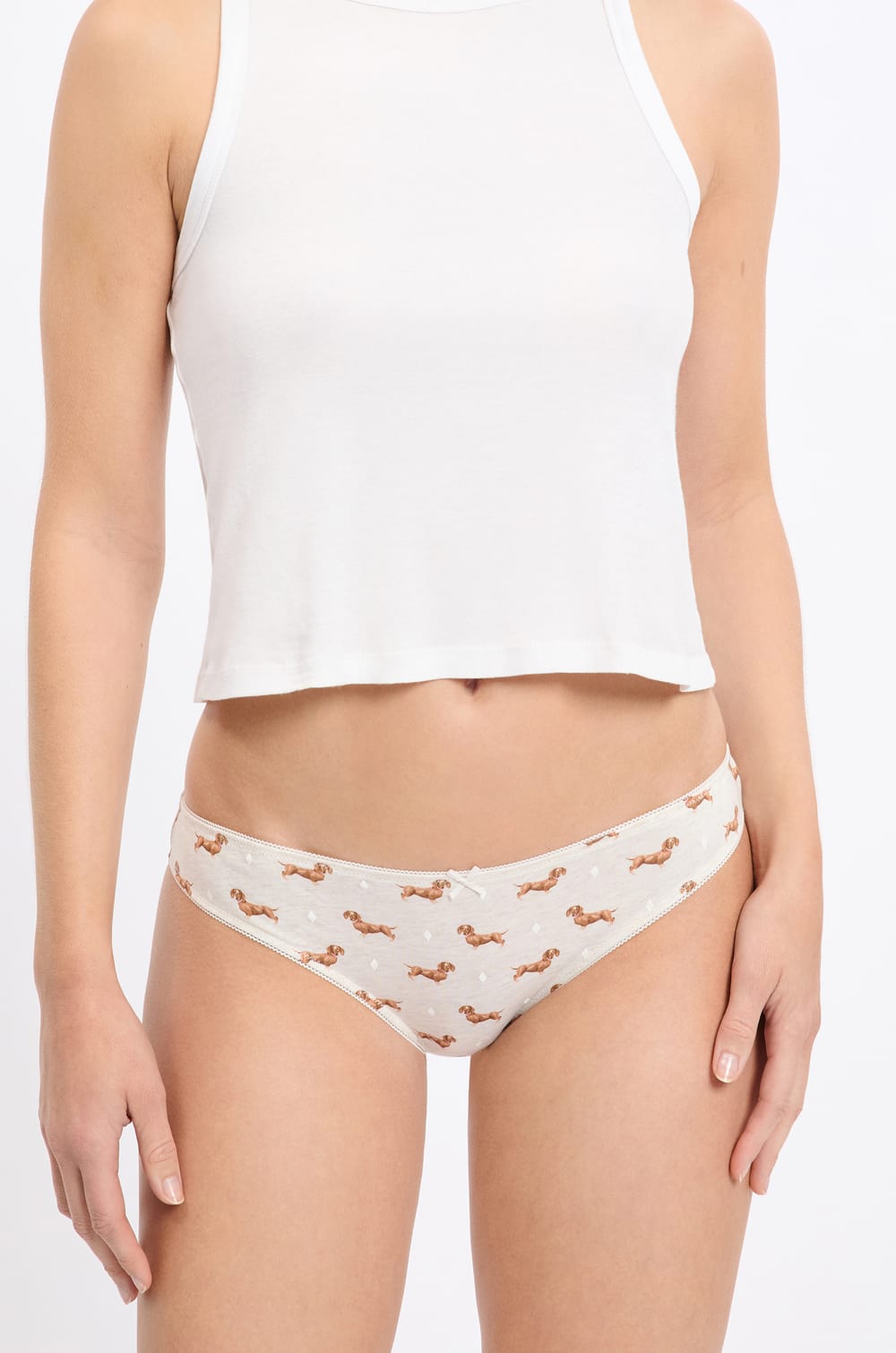 3-Pack Cotton Briefs;${refinementColor}