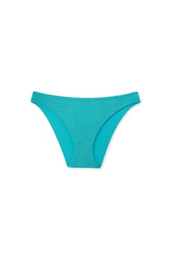 Bikini Brief Swimsuit Bottom;${refinementColor}