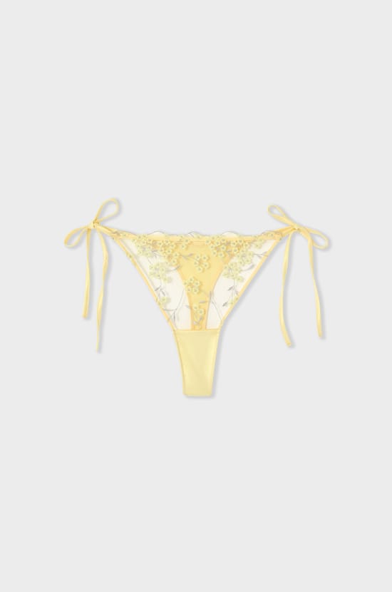 Tie-side embroidered tulle thong;${refinementColor}
