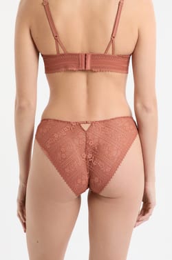 Lace Brief;${refinementColor}