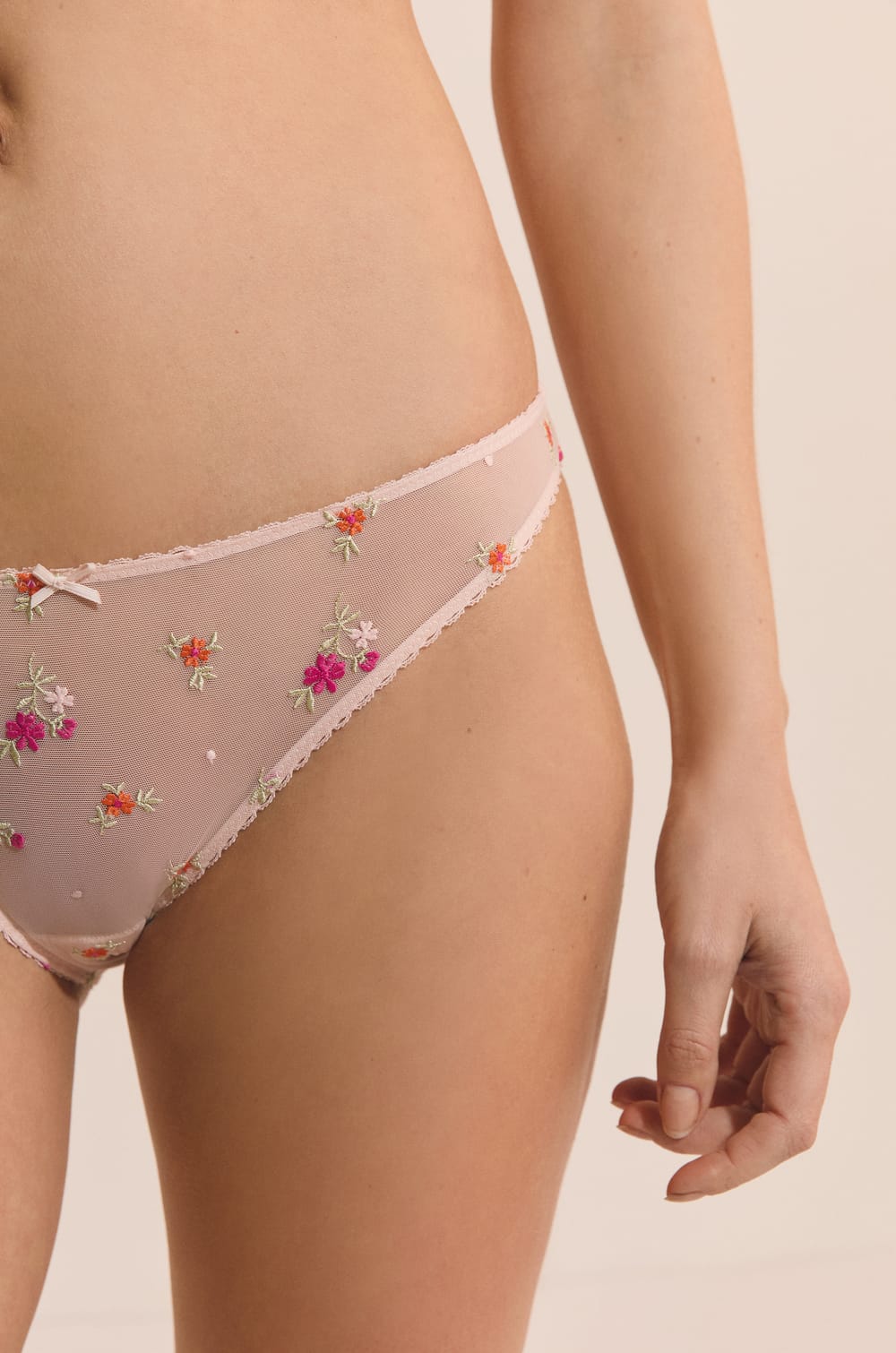 Briefs with Embroidered Motifs;${refinementColor}