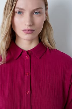 Chemise en coton;${refinementColor}