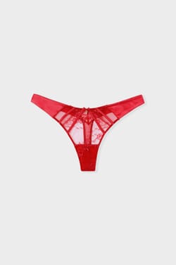 Lace and Satin Thong;${refinementColor}