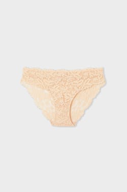 Lace Brief;${refinementColor}