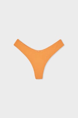 Bas de maillot de bain br&eacute;silien iris&eacute;;${refinementColor}