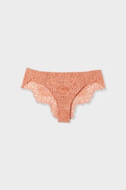Lace Boyshort;${refinementColor}