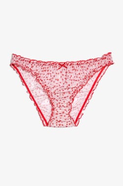Bloomer Brief;${refinementColor}