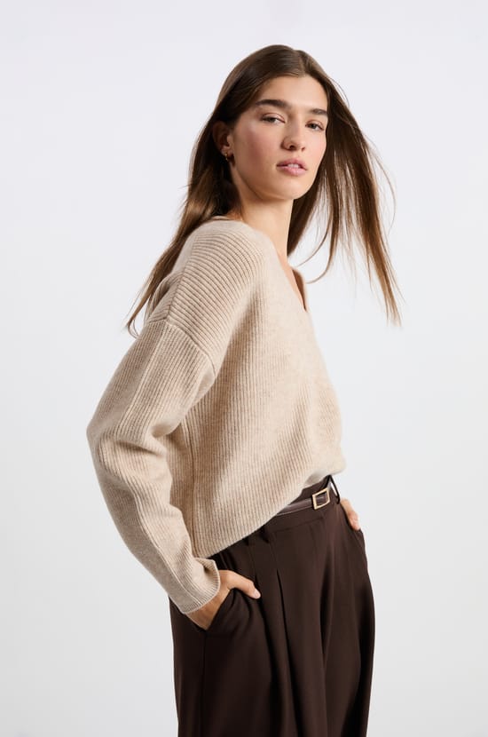 Long-sleeved V-neck sweater;${refinementColor}