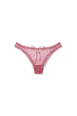 Briefs with Embroidery;${refinementColor}