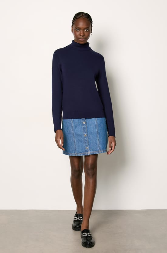 Pull col roulé;${refinementColor}