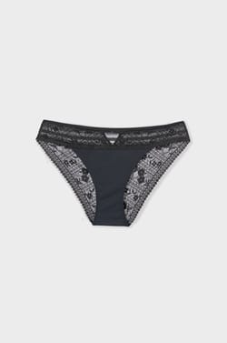 Lace and Microfiber Brief;${refinementColor}