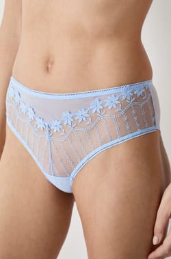 Embroidered Tulle Hipster;${refinementColor}