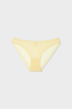 Lace brief with prints;${refinementColor}