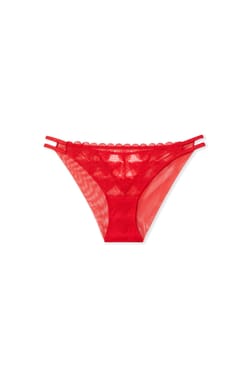 Heart Motif Lace Briefs;${refinementColor}