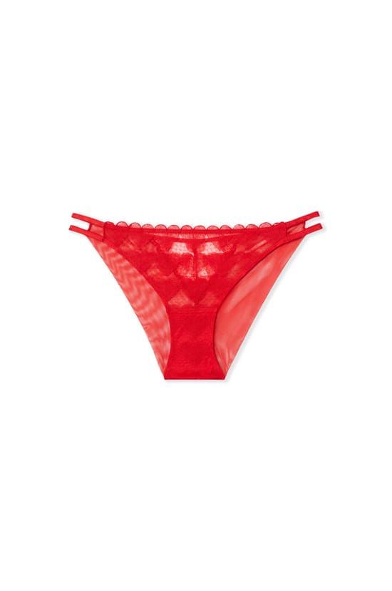 Heart Motif Lace Briefs;${refinementColor}