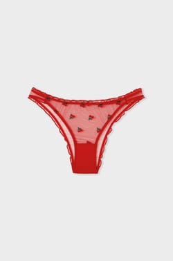 Brief with strawberry embroidery;${refinementColor}