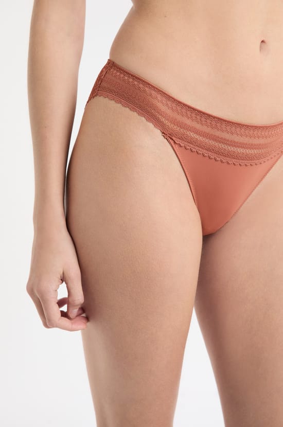 Lace Brief;${refinementColor}