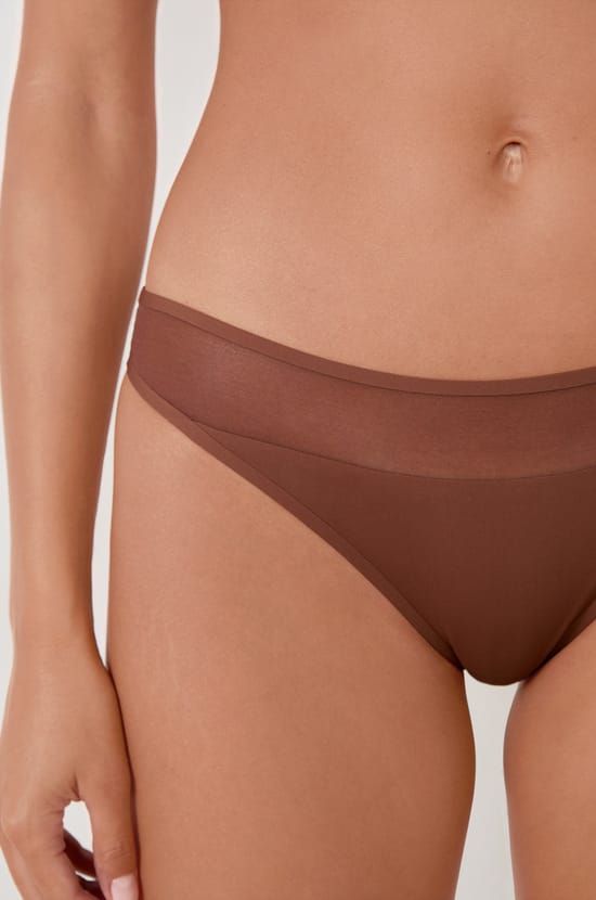 Mesh brief;${refinementColor}