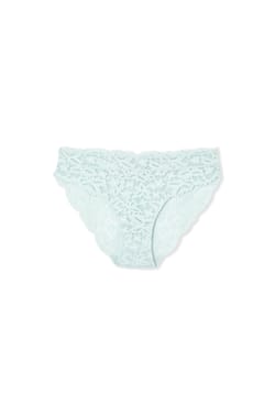 Lace Brief;${refinementColor}