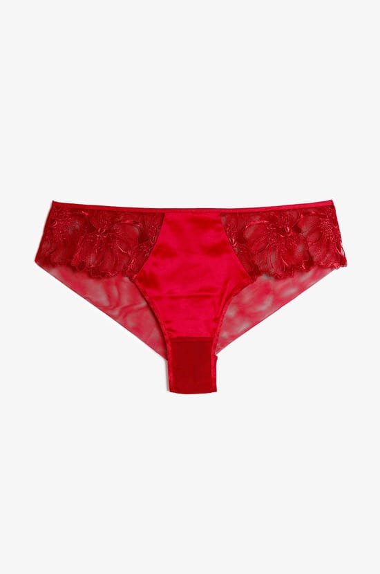 Embroidered Tulle Hipster;${refinementColor}