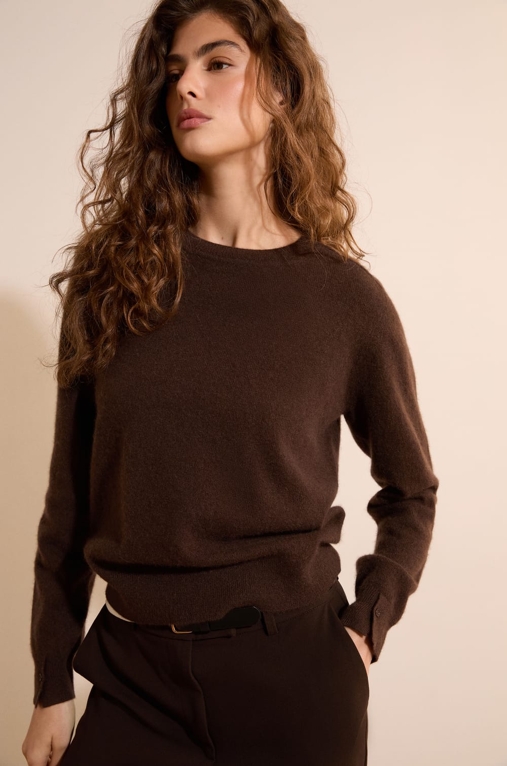 Pull col rond 100% cachemire;${refinementColor}