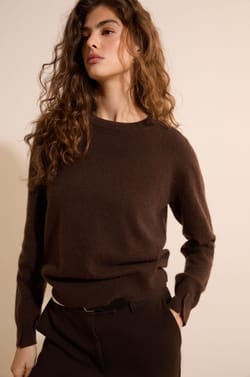 Pull col rond 100% cachemire;${refinementColor}