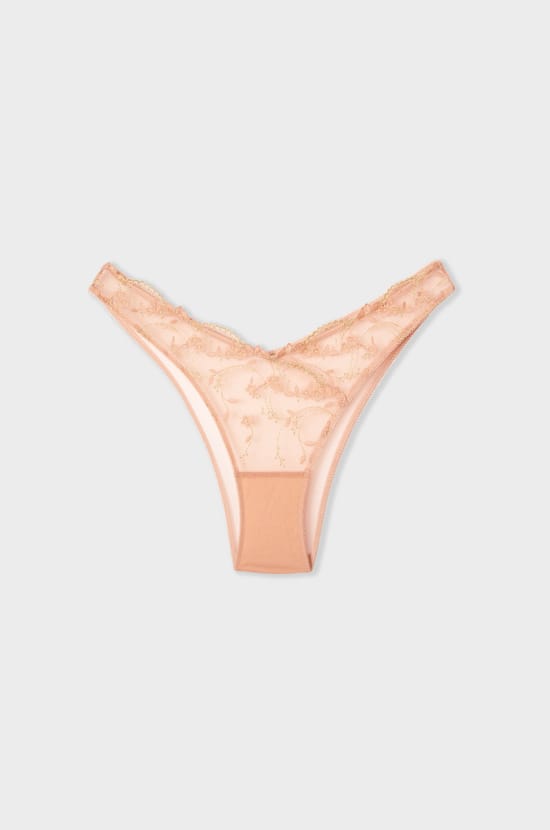Embroidered Brazilian Brief;${refinementColor}