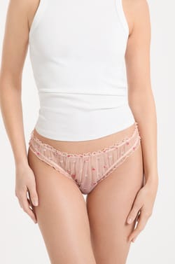 Brief with Embroidery;${refinementColor}