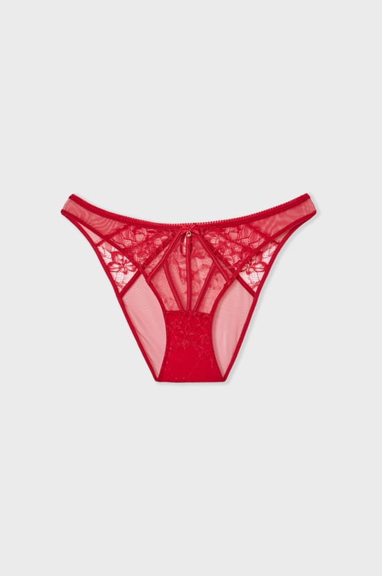 Lace and Satin Brief;${refinementColor}