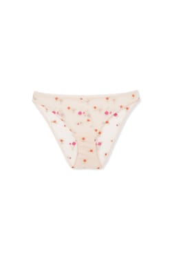 Briefs with Embroidered Motifs;${refinementColor}