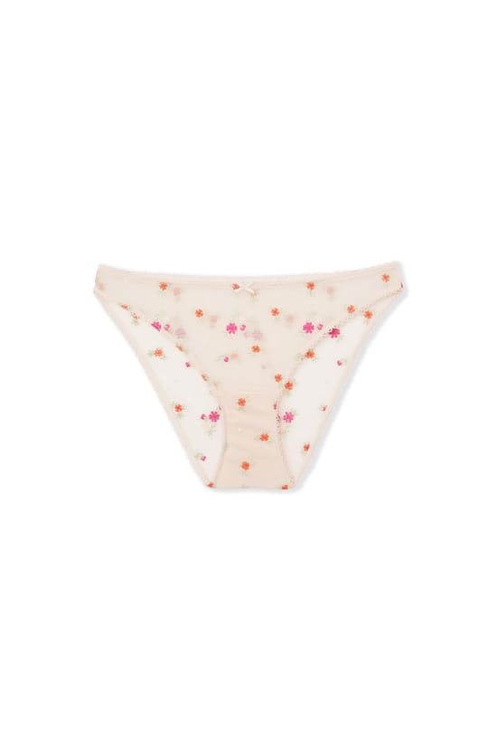 Briefs with Embroidered Motifs;${refinementColor}