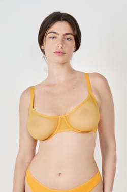 Bra No. 2 - The Plunge Push-Up Bra;${refinementColor}