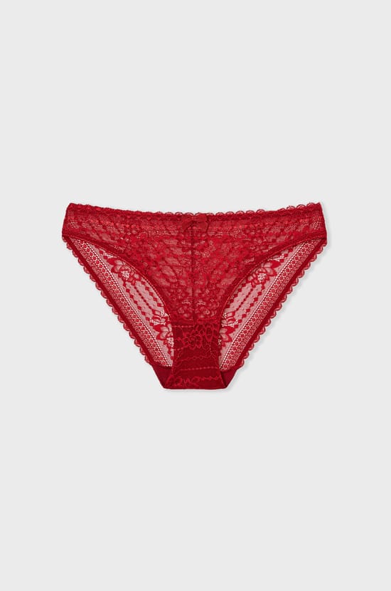 Lace Brief;${refinementColor}