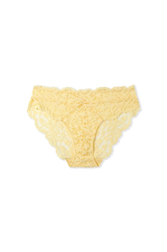 Lace Brief;${refinementColor}