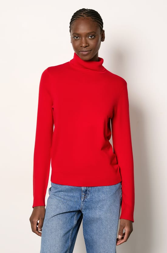 Pull col roulé;${refinementColor}